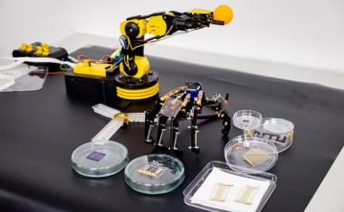 Mini-brains help robots recognise pain