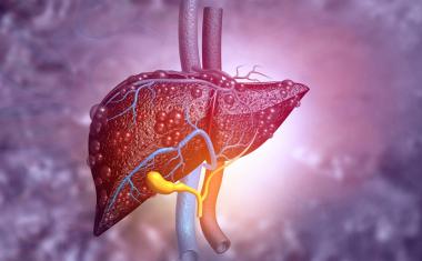 Sensor detects scarred or fatty liver tissue