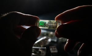 Ingestible “bacteria-on-a-chip” could help diagnose disease