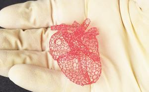 3D printer creates scaffold for human heart