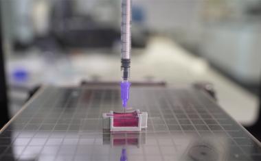 A novel ink to 3D print bone with living cells