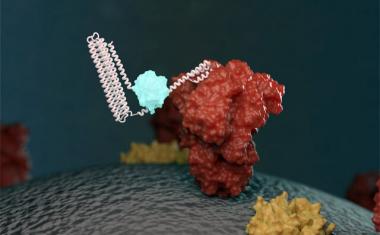 Biosensors quickly spot coronavirus proteins, antibodies