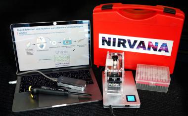 Portable test diagnoses Covid-19