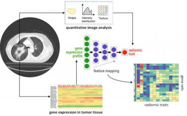 Integrating imaging with deep neural networks