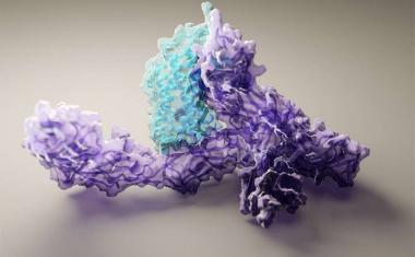 Artificial intelligence rapidly computes protein structures