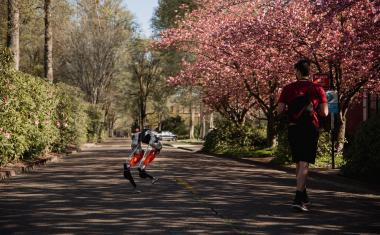 Bipedal robot learns to run