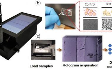 Deep learning-based holographic point-of-care sensor