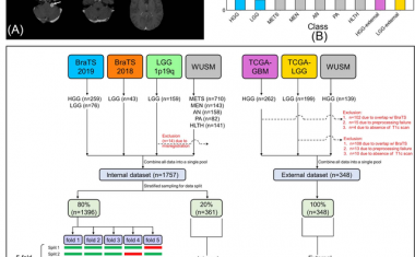 Deep learning: classifying brain tumors with a single 3D MRI scan
