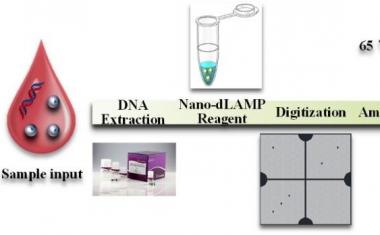 Chip-based digital PCR detection of myeloproliferative neoplasms