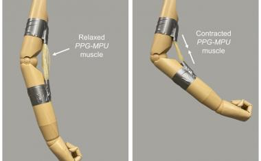 New material could help robots flex their muscles