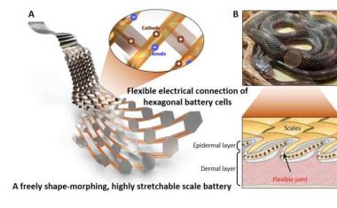 A battery capable of moving smoothly like snake scales
