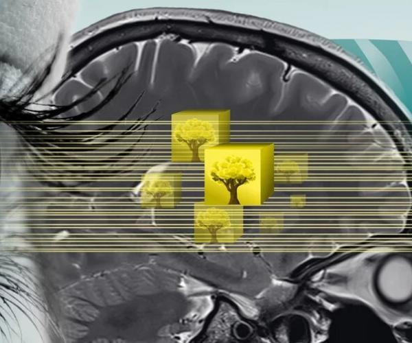Neural network predicts eye movements