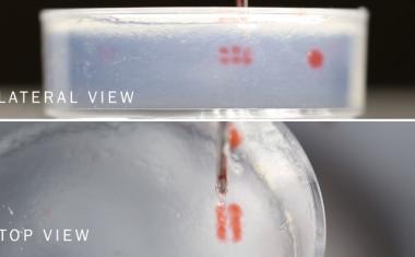 Voxel-based technique to streamline bioprinting