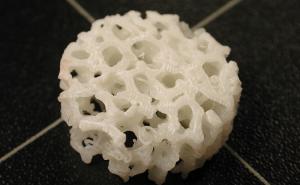 Regrowing long bone segments using 3D printing