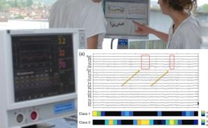 AI identified decision-relevant patterns in EEG of coma patients
