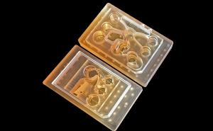 “Body-on-a-chip” could improve drug evaluation