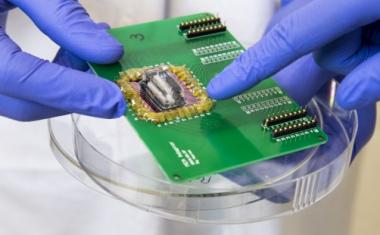 Scientists model heart attack on a chip