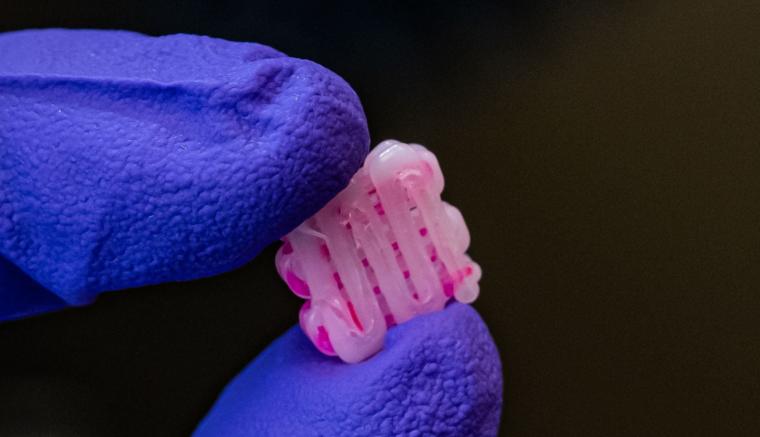 Artificial intelligence can speed the development of 3D printed bioscaffolds...