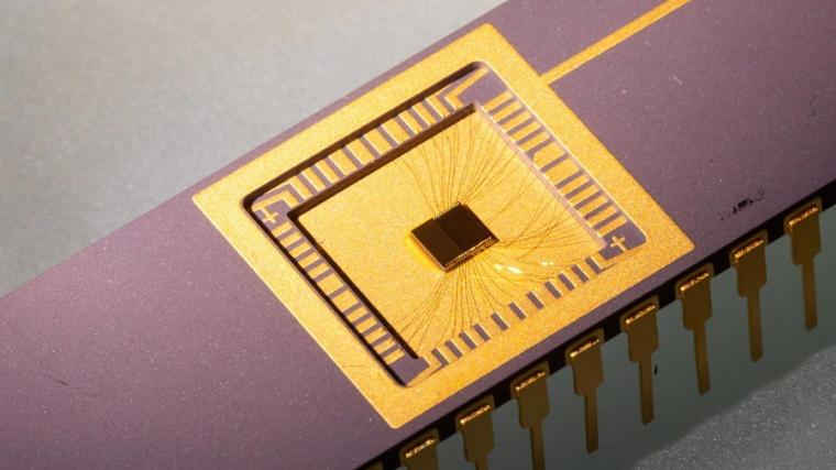 Graphene chip - A sample harvesting chip under development.