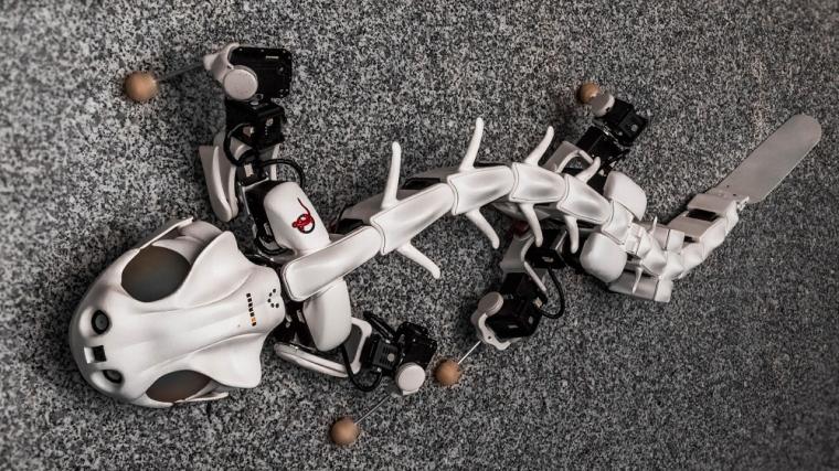 The Pleurobot robot salamander developed by EPFL’s Biorobotics Laboratory...