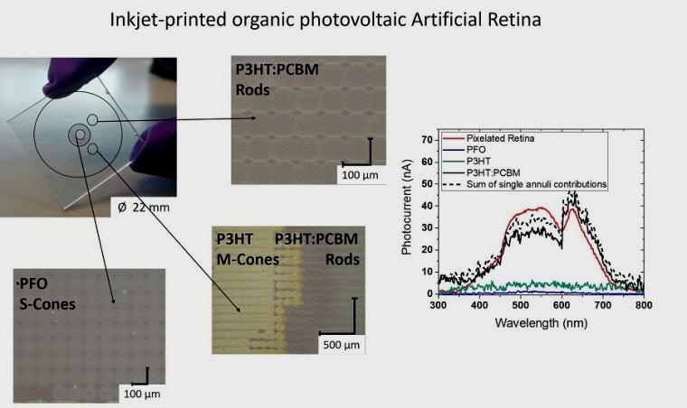 Microscopy images of the inkjet-printed Artificial Retina and its spectral...