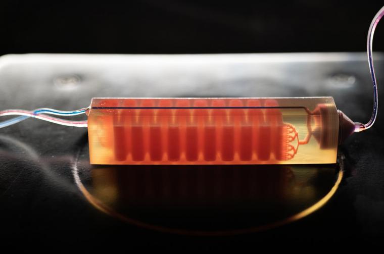 A 3D-printed cell trap captures blood cells to isolate tumor cells from a blood...