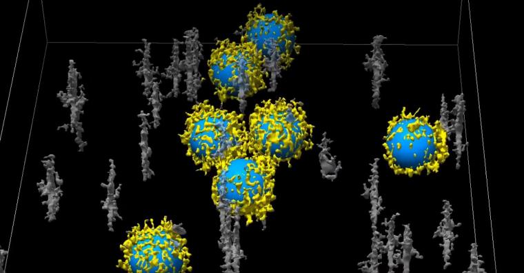 Screenshot from video: 3D reconstructed Cryo Electron Tomography of a...