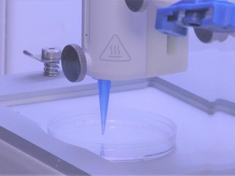 Living skin can now be 3D-printed - blood vessels included. Development is...