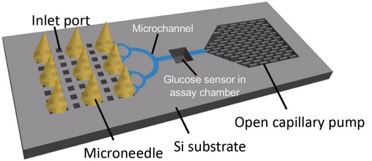 Use of microneedles in a glucose sensor patch.