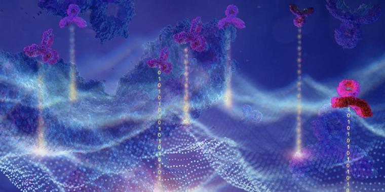 Machine learning helps develop optimal antibody drugs.