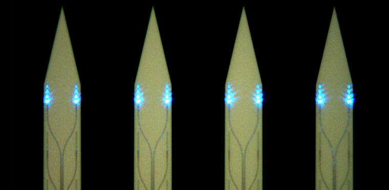 Optical microscope image of the implantable shanks (141 micron pitch) of a...