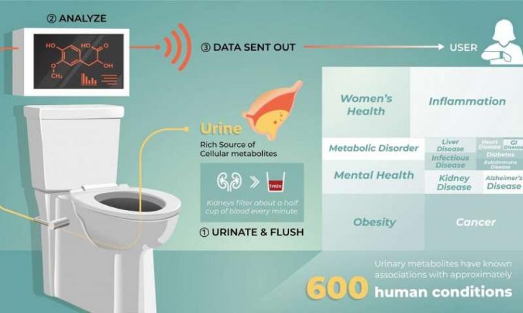 Graphic illustrates how an integrated smart toilet system might work as a...