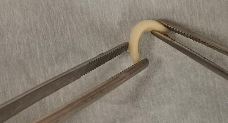 3D printed cartilage is shaped into a curve suitable for use in surgery to...