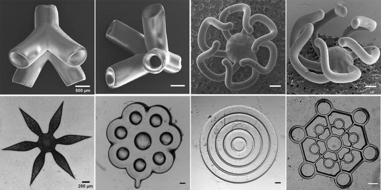 Examples of the geometries that the high-throughput 3D bioprinter can rapidly...