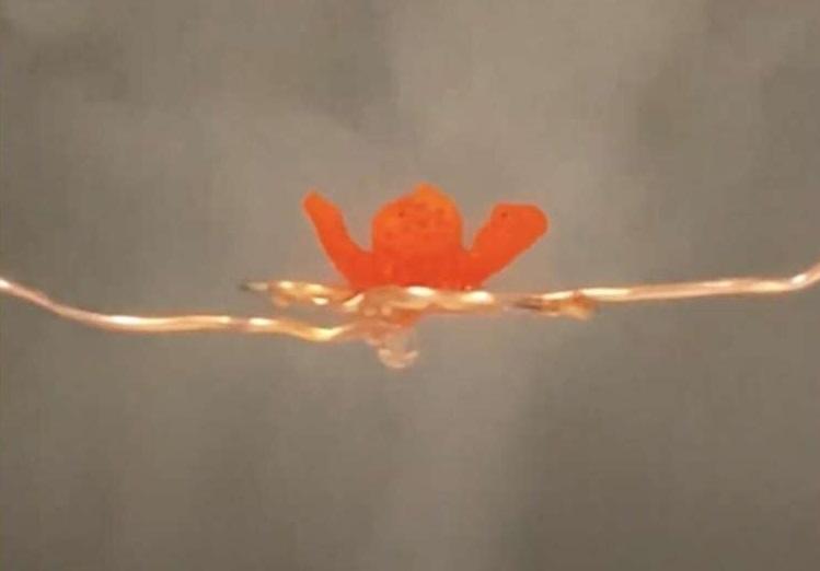 A 3D-printed flower demonstrates the qualities of a multi-functional printing...