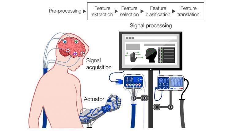 A schematic demonstrates the steps required for eBCI operation. EEG sensors...