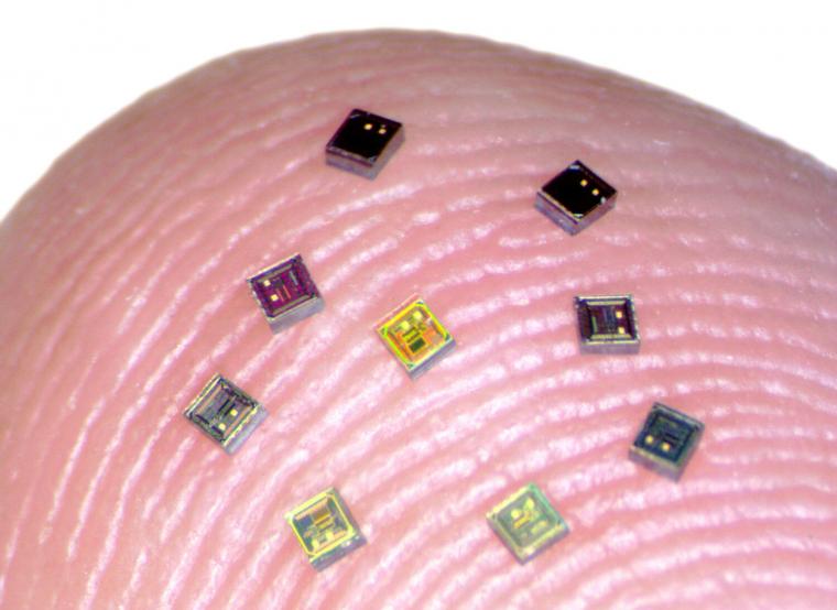 Tiny chips called neurograins are able to sense electrical activity in the...
