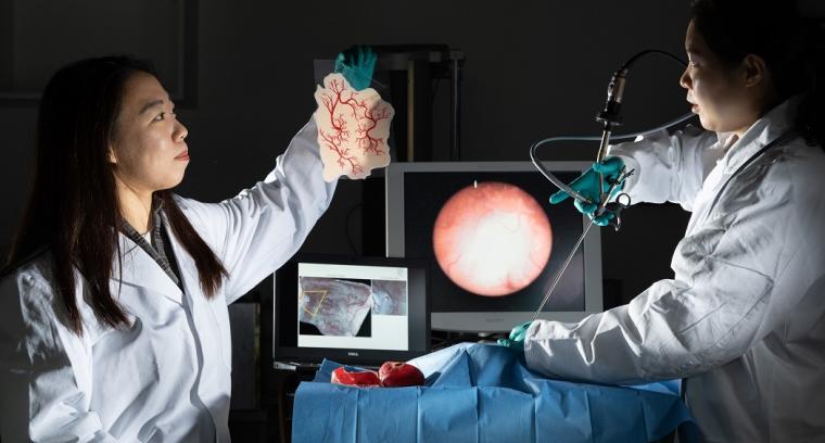 Woman holds artificial organs.