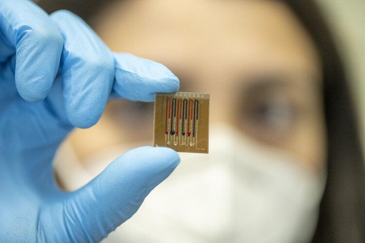Woman holds the microfluidic biosensor