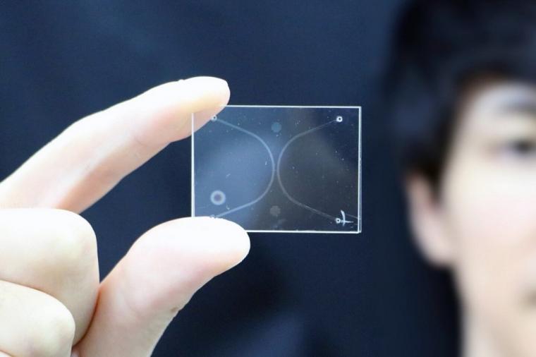 A nanofluidic device enabling fabricating nanoscale gas-liquid interfaces.