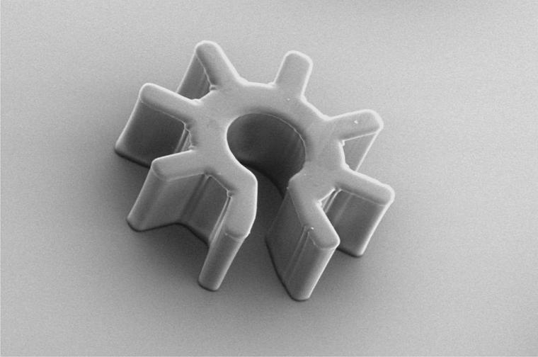 Scanning electron microscopy image of a cogwheel-shaped optoelectronic...
