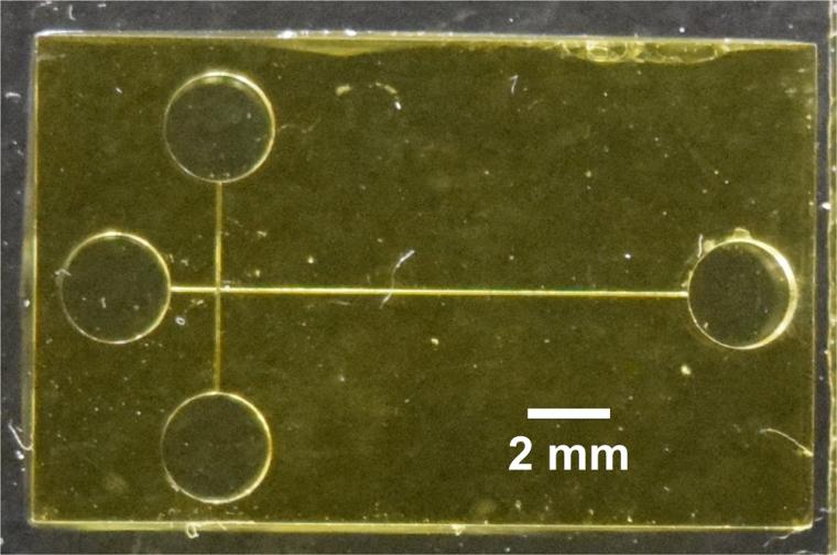 A 3D-printed microchip device separates and detects biomarkers of preterm birth.