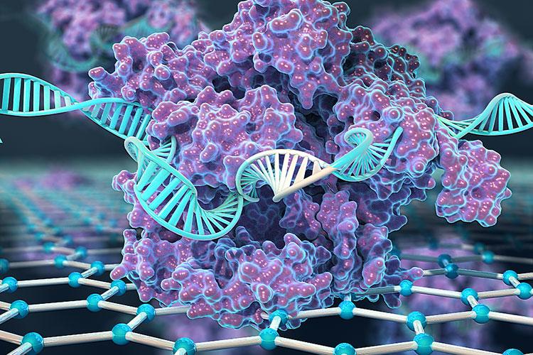 CRISPR-Chip uses deactivated CRISPR-Cas9 protein, tethered to a transistor made...