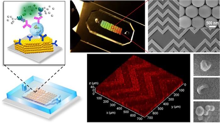 The new lab-on-a-chip’s key innovation is a 3D nanoengineering method that...