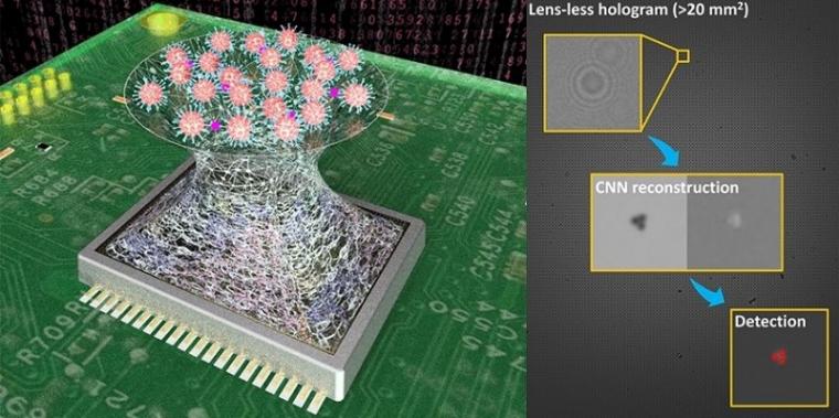 Deep learning-based sensing of viruses using holography.
