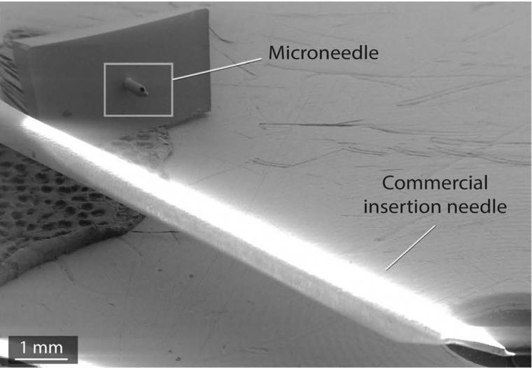 The microneedle is significantly smaller than the commercial standard for...