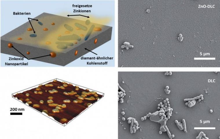 Intelligent coating: Nanoparticles of zinc oxide are embedded in a wafer-thin...
