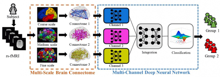 Schematic diagram of the proposed multichannel deep neural network model...