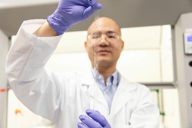Super stretchy, transparent and self-powering, researchers Xinyu Liu (MIE) and...
