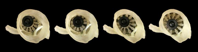 A custom “sizer” device is placed inside each 3D-printed heart valve model...